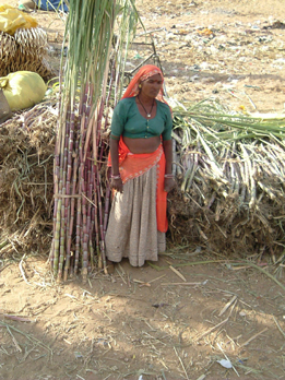 Venditrice di canna - Rajasthan